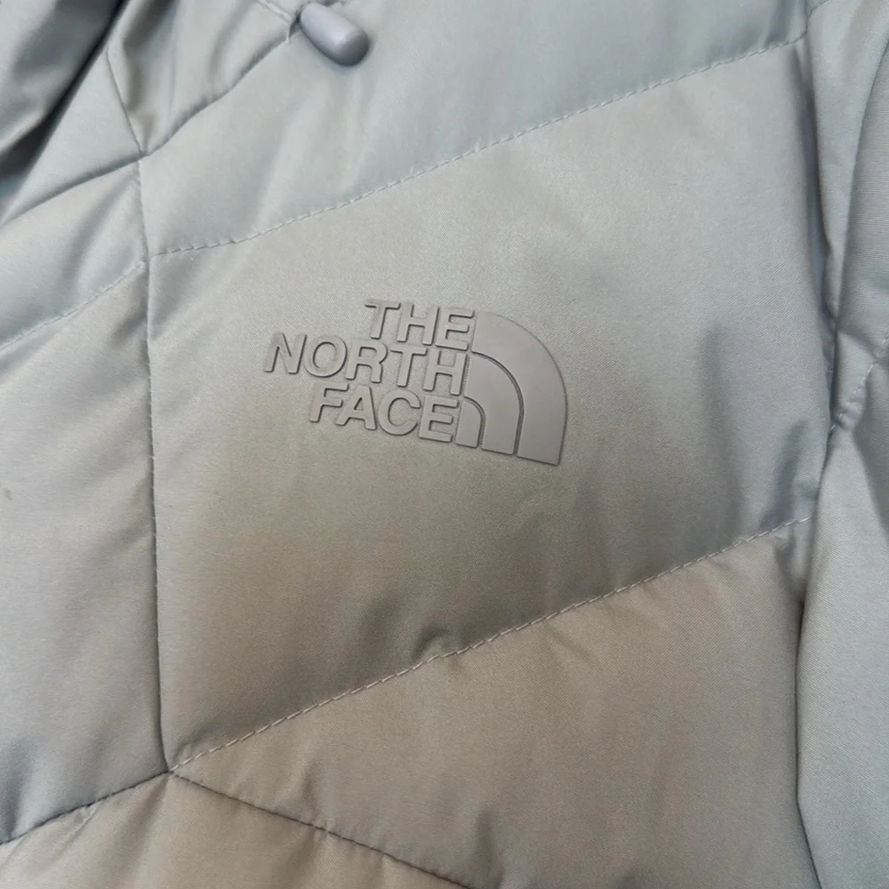The North Face Hooded Goretex Infinium 550 Coat - Picture 2 of 11
